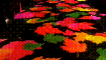 3.gif