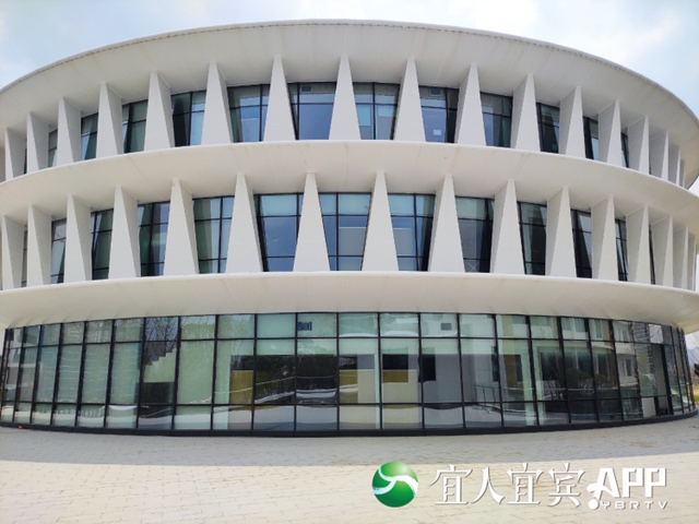 宜賓：三年投入近300億元，強化基礎教育保障