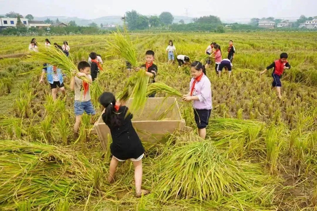 校3.jpg