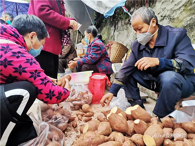 價格回歸！內(nèi)江人熟悉的“親民菜”回來啦——