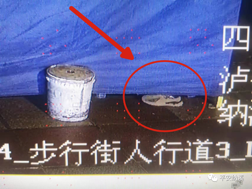 納溪：貪吃小偷因?yàn)橐恢恍?露出馬腳 ”