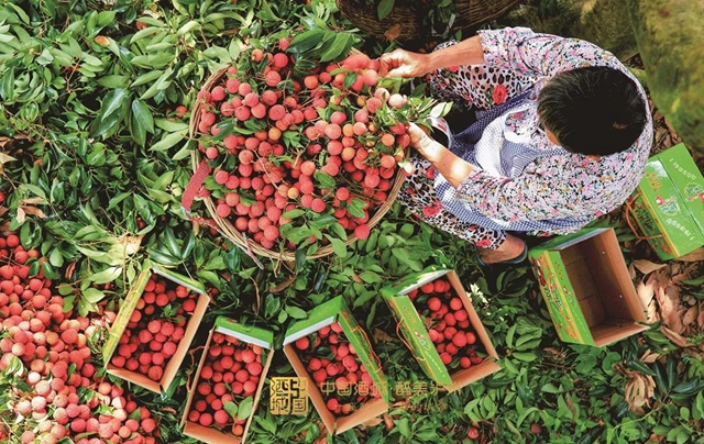現(xiàn)代農(nóng)業(yè)園未來如何建？瀘州給出了這份《規(guī)劃》