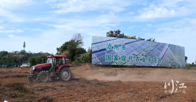 如何補(bǔ)齊瀘州104個(gè)現(xiàn)代農(nóng)業(yè)園區(qū)的短板？——瀘州市強(qiáng)化科技支撐培育農(nóng)業(yè)品牌觀察