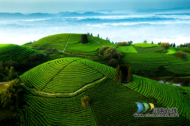 DJI_0106-1.jpg