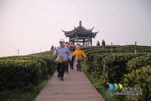梅嶺茶山研學旅行.jpg