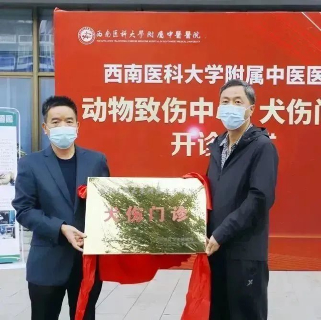 診5.jpg
