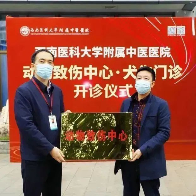 診4.jpg