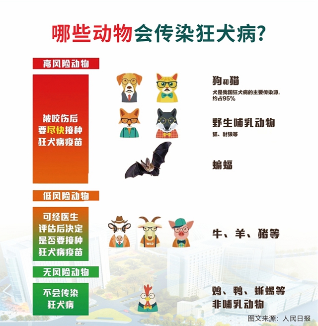 診18.jpg