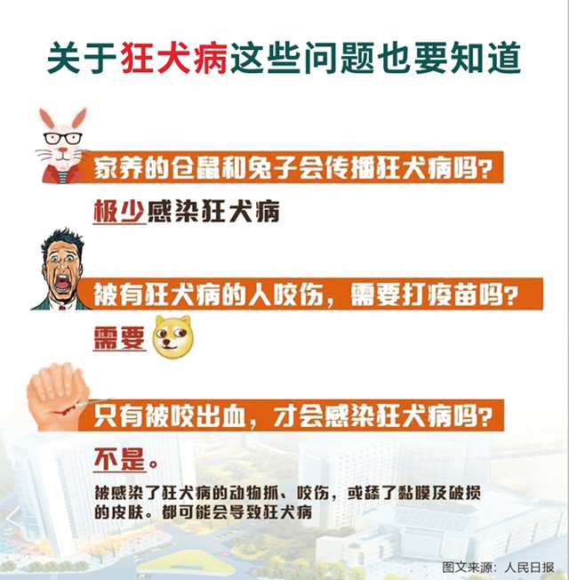 診19.jpg
