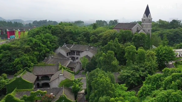 飄香酒谷｜瀘州文化名家相約飄香酒谷，共論“文化力量”