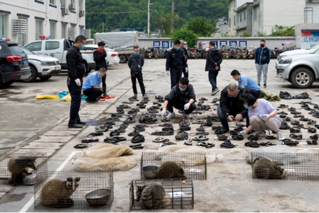 開服裝店為買賣野生動物“打掩護” 敘永這對夫妻遭起！