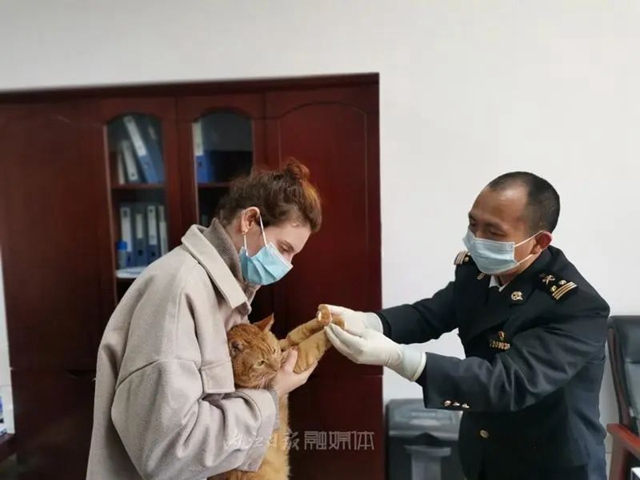 關(guān)注！內(nèi)江發(fā)出今年首張寵物出境“通行證”
