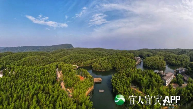 蜀南竹海對(duì)宜賓市民免費(fèi)開(kāi)放！時(shí)間......