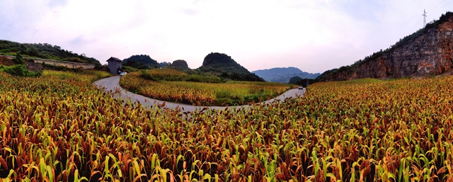 百強(qiáng)14.jpg