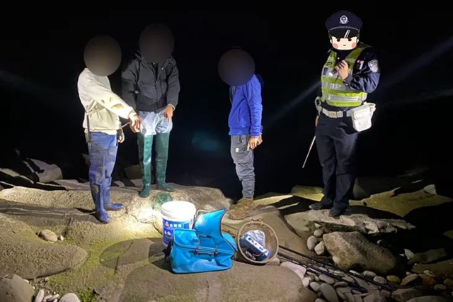 瀘縣：三“饞貓”釣魚無獲，摸黑電長江魚被抓現(xiàn)行