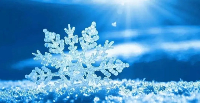 【圍觀】寒潮來襲，最低溫僅4℃！