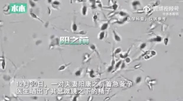 【提醒】夫妻“陽康”后著急備孕，醫(yī)生這樣說......