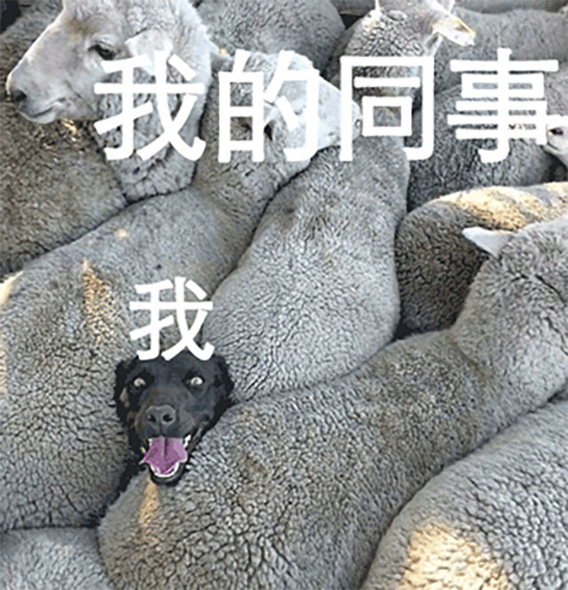 【關(guān)注】“喉嚨吞刀片”就是陽(yáng)了？33歲男子，5小時(shí)經(jīng)歷生死……