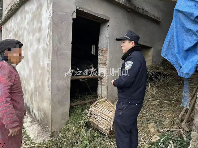 急！威遠(yuǎn)村民報警：“我養(yǎng)了十年的牛不見了！”……