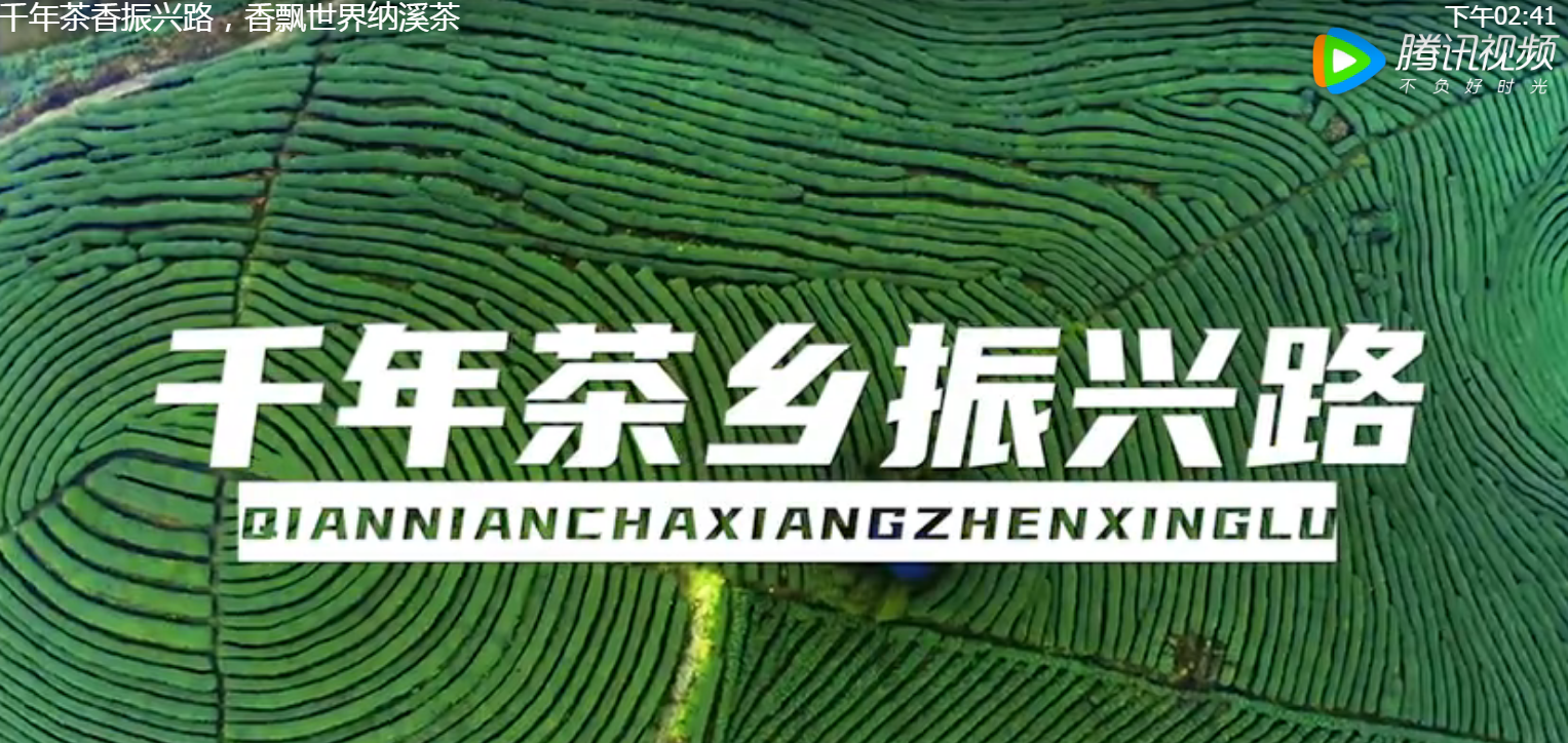 千年茶香振興路，香飄世界納溪茶 | 四川第十屆茶葉開采活動周啟動！