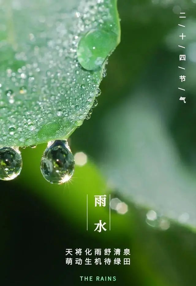 【提醒】雨水時(shí)節(jié)，要開始祛濕養(yǎng)胃了