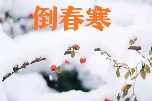 【警惕】倒春寒，對(duì)心腦血管不友好 如何平安入春？龍中醫(yī)為您支招