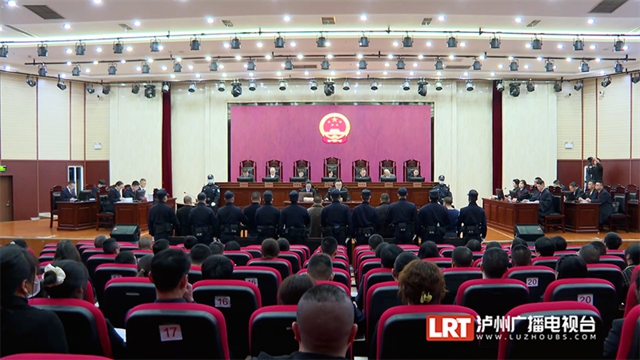 五人被判刑！瀘州宣判一起非法獵殺珍貴瀕危野生動(dòng)物彩鹮案