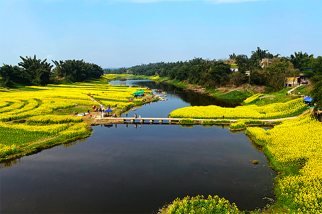 最高25℃！約~宜賓周邊春游賞花