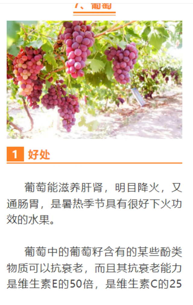 春雷行動2023┃古藺縣利用電子取證技術(shù)查獲一起互聯(lián)網(wǎng)廣告案