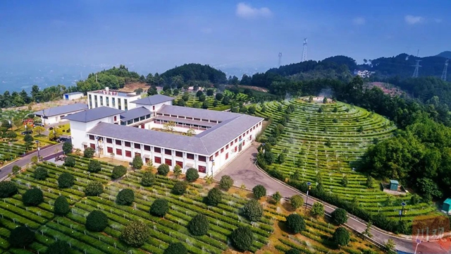 宜賓新晉1個(gè)十億元鎮(zhèn)和2個(gè)億元村，它們的致富密碼是……