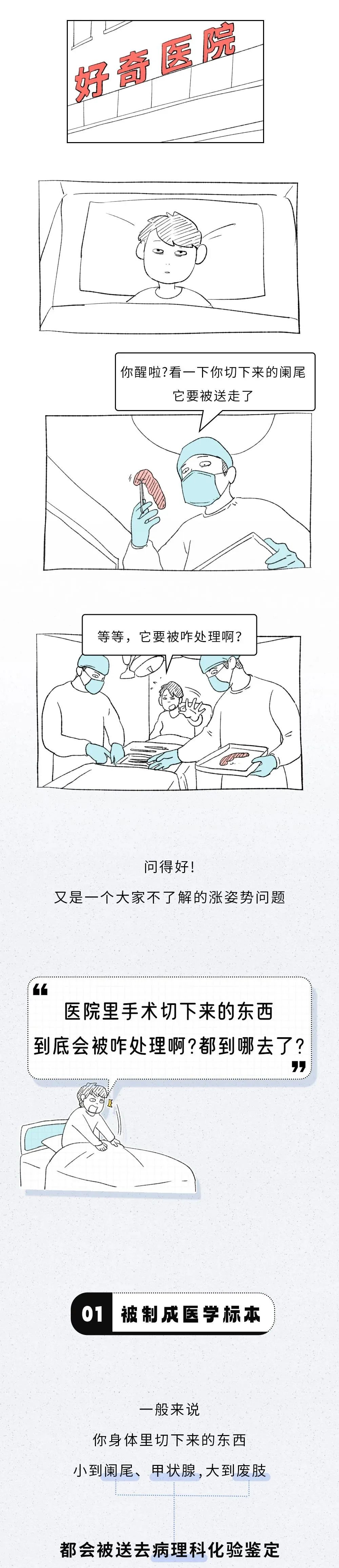 【漲姿勢】醫(yī)院截肢下來的部分都去哪了？