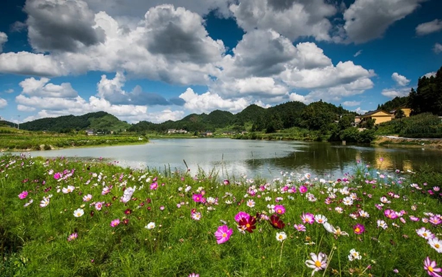 瀘州文旅大會，現(xiàn)場簽約12個項目總投資148億元
