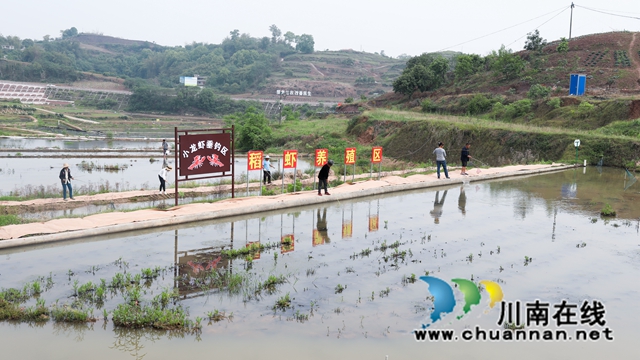 龍馬潭：小龍蝦垂釣，激發(fā)鄉(xiāng)村旅游新活力