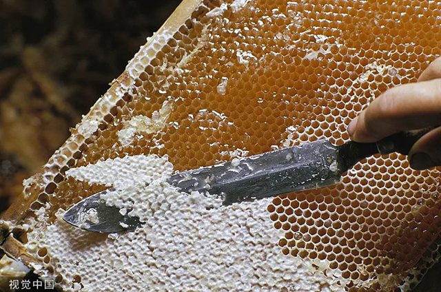 過(guò)期一天的食物不能吃？這些食品沒(méi)保質(zhì)期，別浪費(fèi)！