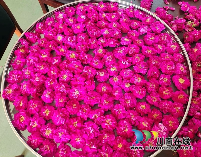 合江：手工玫瑰花醬，初夏一抹香甜滋味