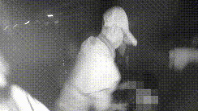 4.gif
