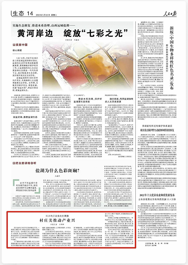 全國矚目！內(nèi)江上了今天的《人民日報》——