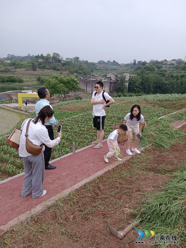 龍馬潭有福之地迎兒童節(jié)：首演萬畝高粱親子活動！