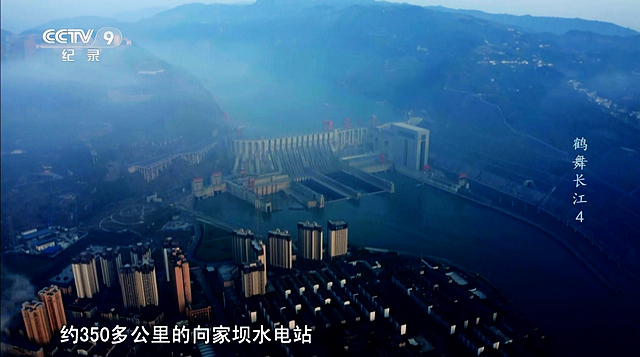 宜賓又上央視了！這次是這個(gè)村……