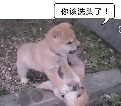 14.gif