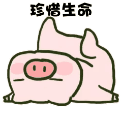 6.gif