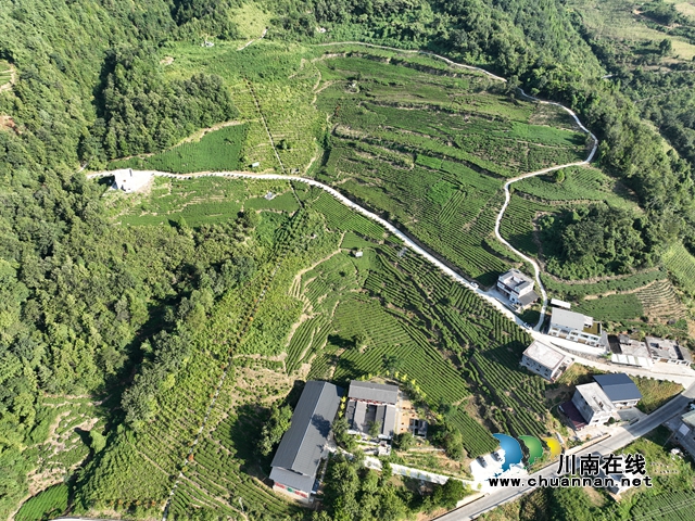 大學生直播助農(nóng) 為鄉(xiāng)村振興注入青春涌流5.jpg