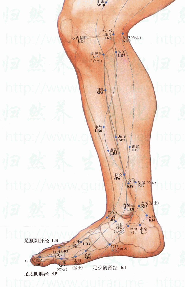5.gif
