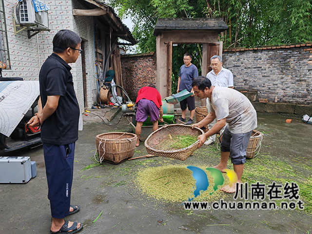 現(xiàn)場(chǎng)脫粒（曾佐然攝）.jpg