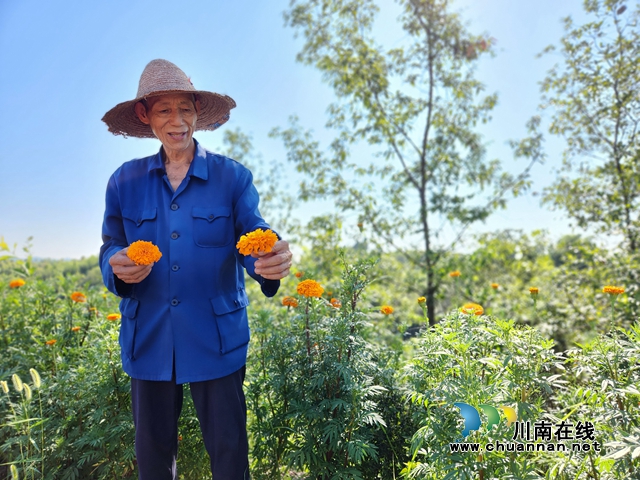 圖為村民羅章華介紹自己種植情況（劉璐攝）.jpg