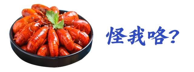 微信圖片_20230816114825_7.png