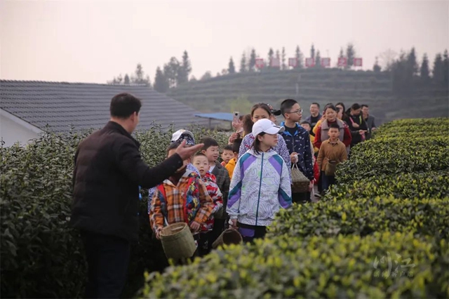 茶３.jpg
