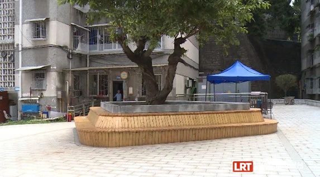 龍馬潭區(qū)33個老舊小區(qū)正在改造，涉及這些街道！