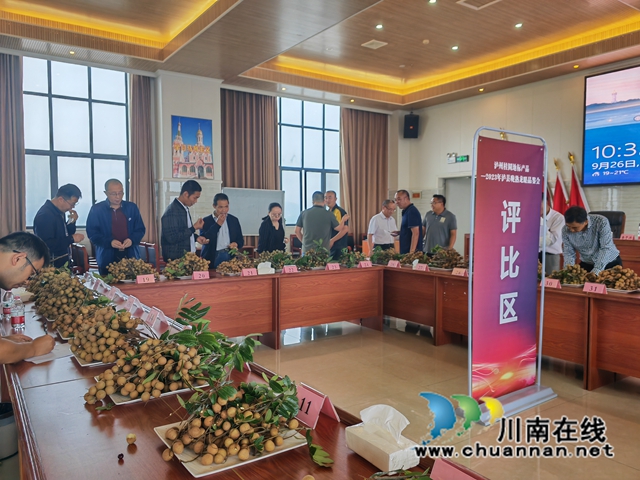 品鑒龍眼3（曾佐然攝）.jpg