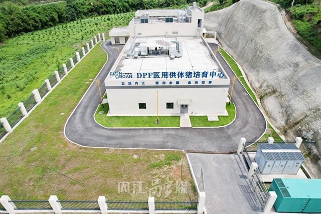 了不起！內(nèi)江這個“器官工廠”最新揭秘